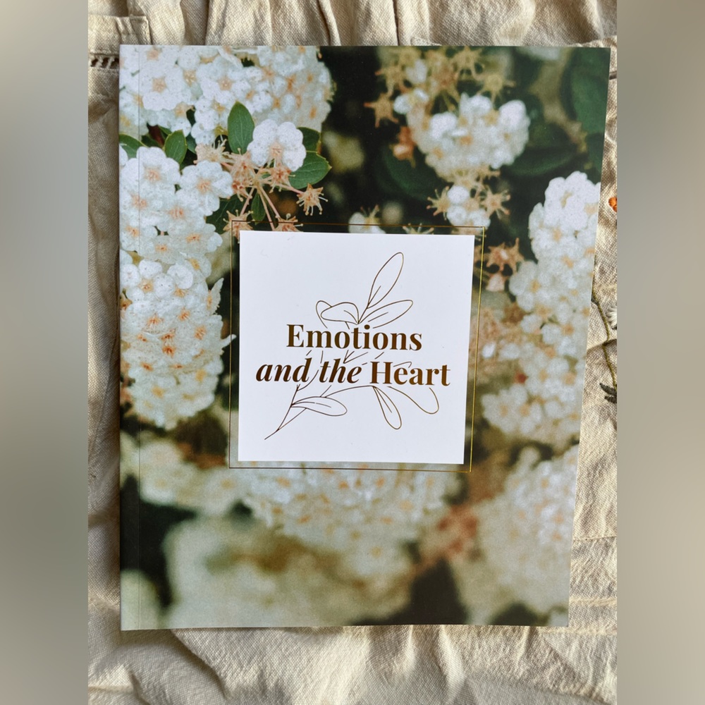Daily Grace Emotions and the Heart | 4 Week Study, never used